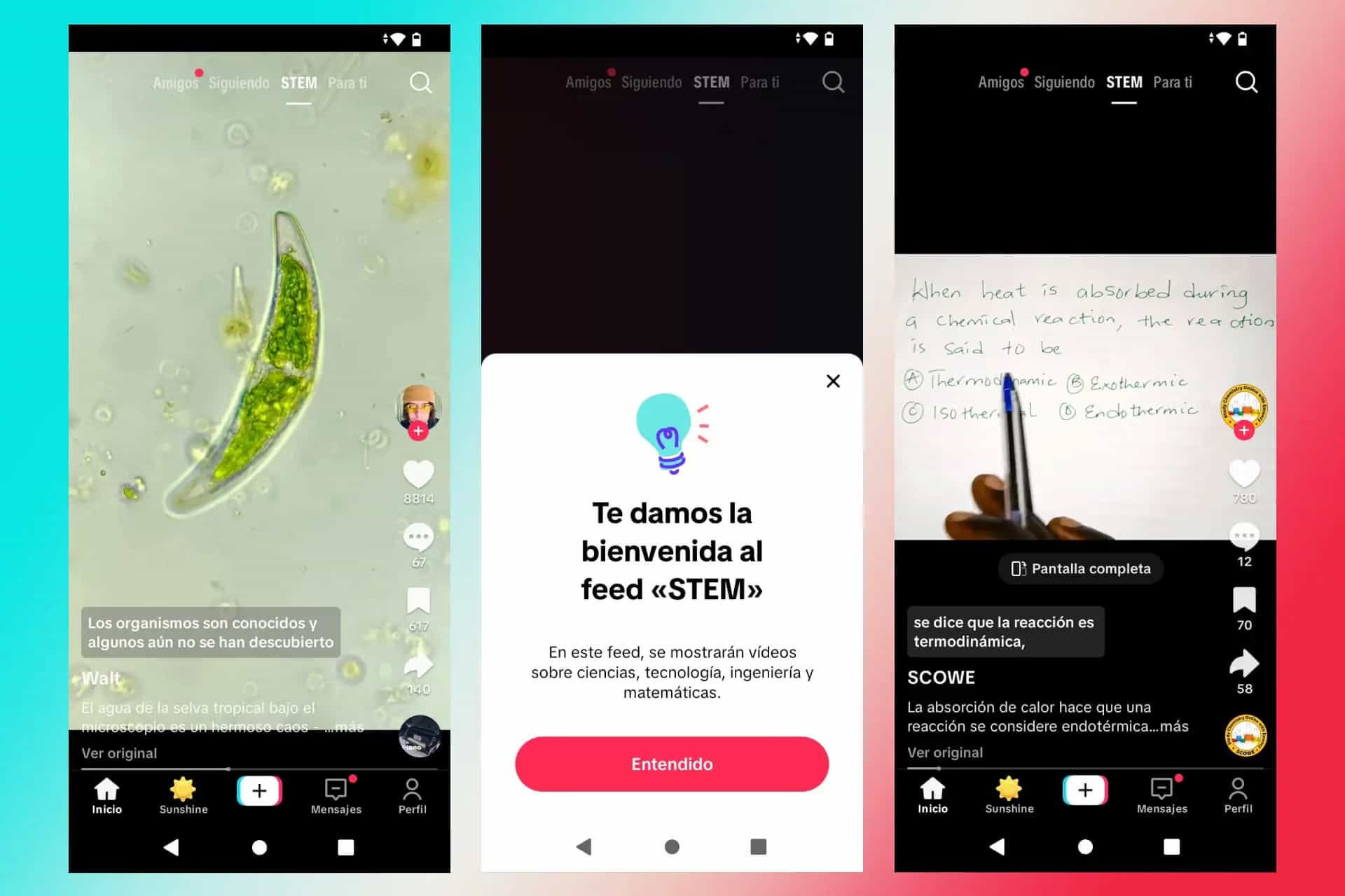 TikTok Pro: qué es y en qué se diferencia del TikTok normal