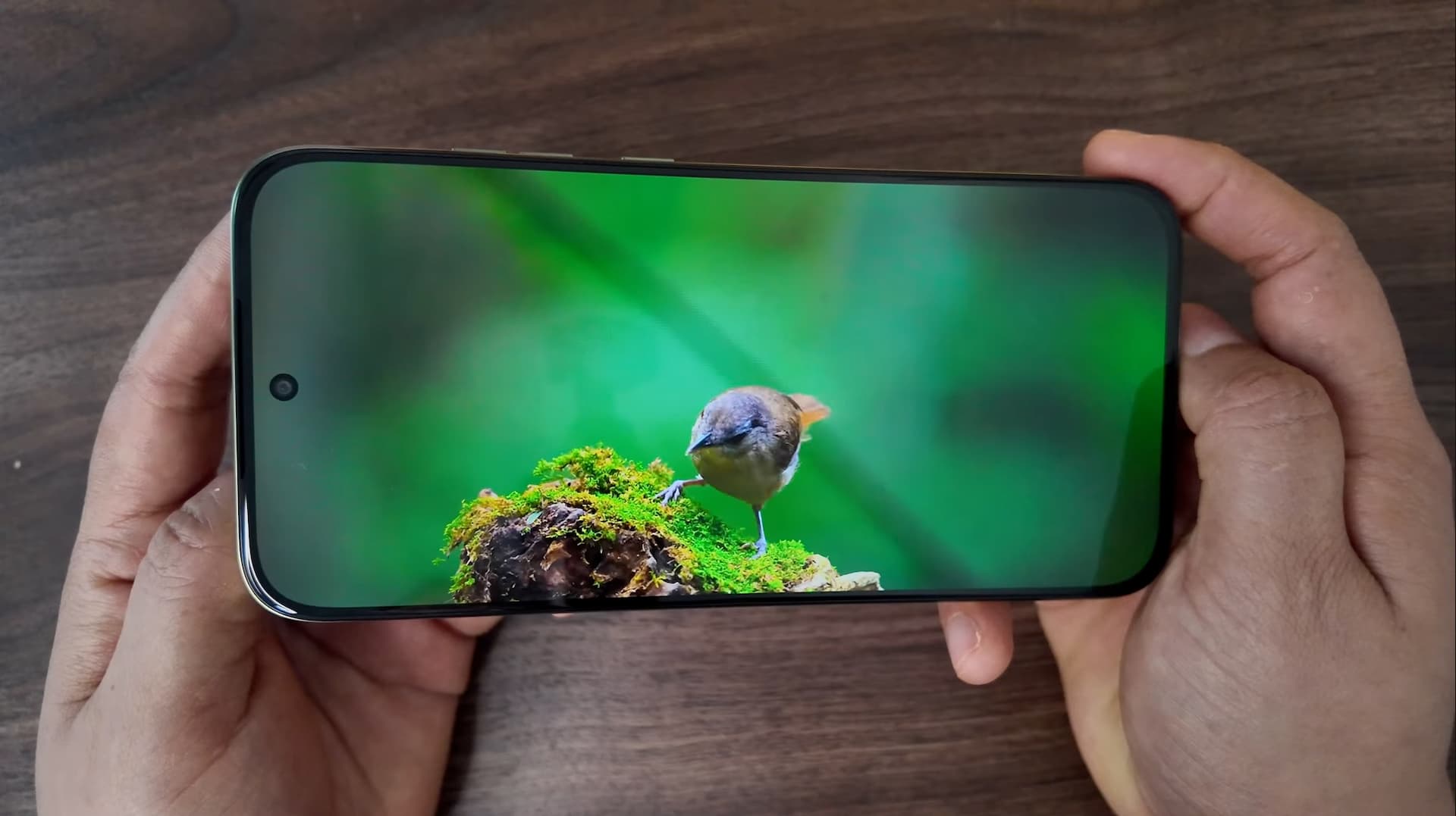 Motorola Moto G67 pantalla